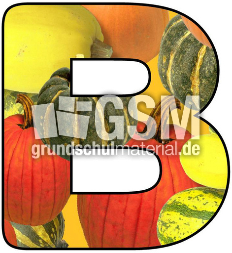 Herbstbuchstabe-8-B.jpg